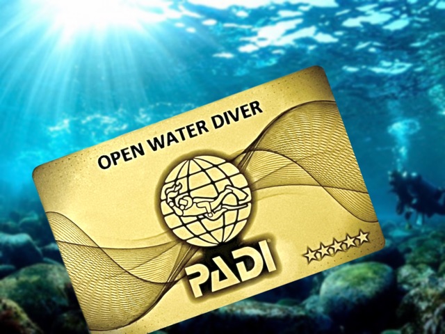 PADIオープンウォーターダイバー認定カード。初心者が2日間で取得できるダイビングライセンス。ゴールドカード発行。
