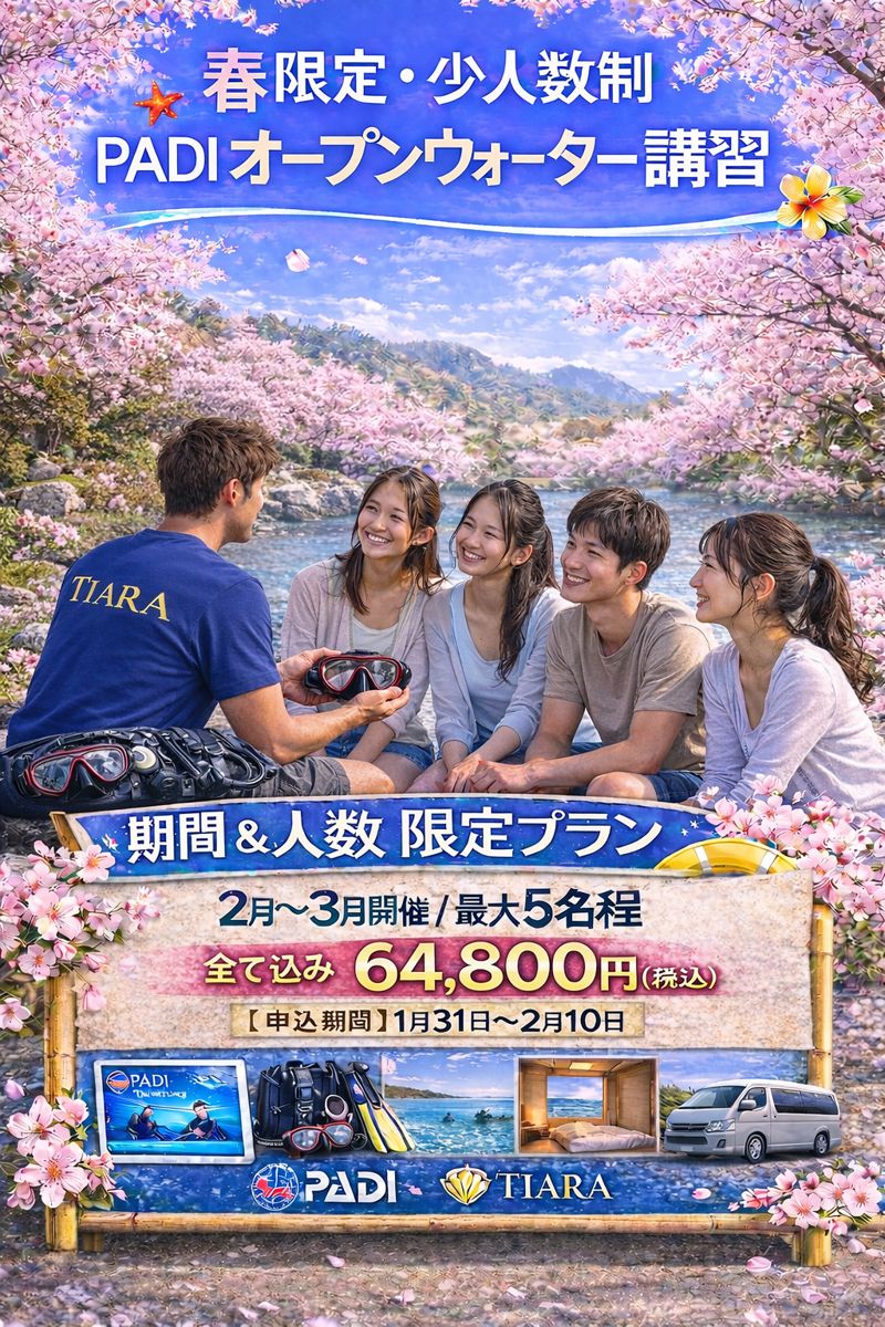 東京・世田谷で10年以上検索1位のダイビングショップTiaraによるPADIオープンウォーター講習。20代女性に選ばれる少人数制で、安心・きれい・楽しい初心者ダイビングを実施