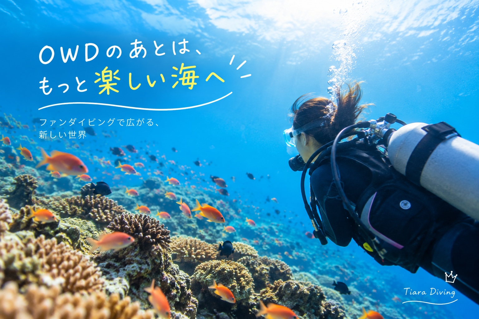OWD取得後のファンダイビングを楽しむ女性ダイバーと色鮮やかな魚たちの水中風景