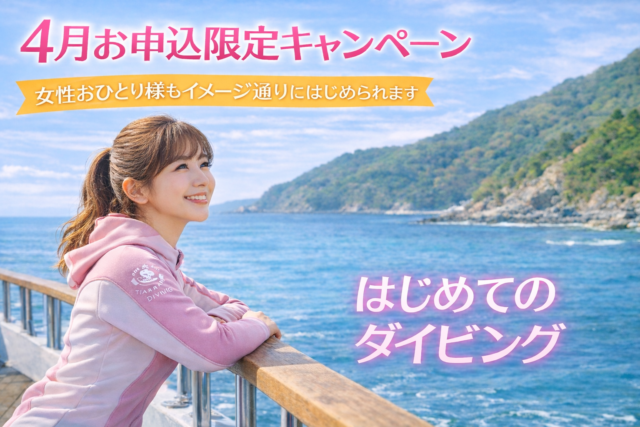 4月申込限定のPADIオープンウォーターダイバー講習、2日間で取得できる初心者向けダイビングプラン。無事故で安心の少人数制、総額表示・レンタル込みで女性一人でも落ち着いた雰囲気で始められるイメージ写真