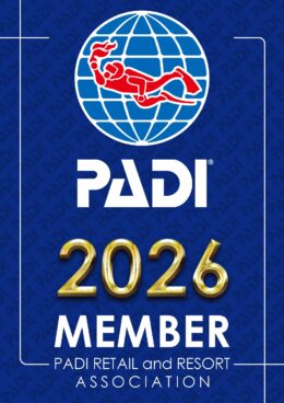 世界共通のPADIライセンス(2026年版)を取得できるTiaraのダイビング講習